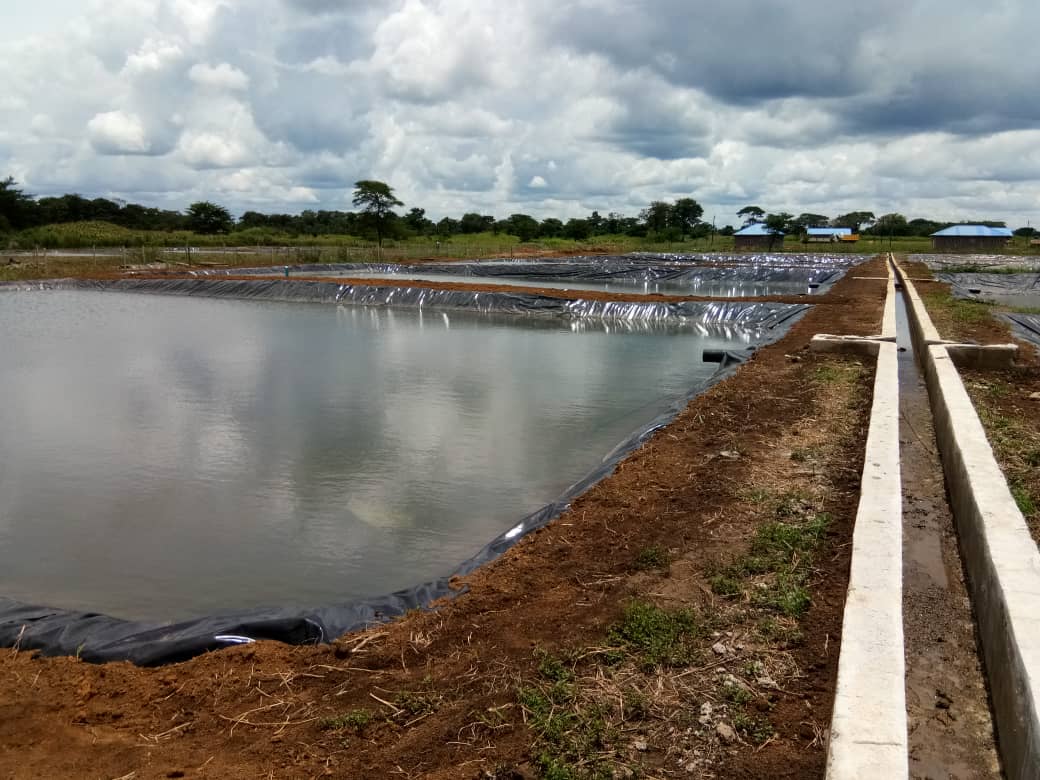 After project image one