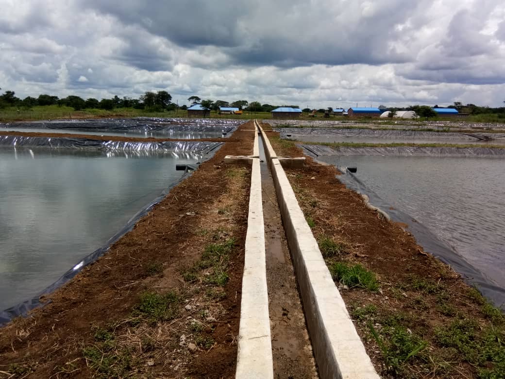 Mushindamo canal and pond layout